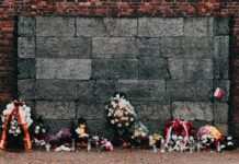 Defendamos Nuestra Humanidad Compartida Cada Día ONU Derechos Humanos: "Debemos defender nuestra humanidad compartida, cada día"