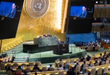 En Tiempos de Caos, La Prioridad Debe Ser Defender el Multilateralismo El mundo vive un caos, la prioridad debe ser defender el multilateralismo