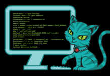 Hackers Se Organizan Para Contrarrestar las Acciones de ICE How Hackers Are Fighting Back Against ICE