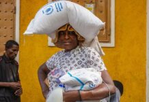 Haití en Crisis: Causas y Perspectivas Futuras Haití explicado: por qué se agrava la crisis y qué vendrá después