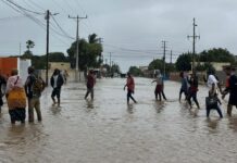 Inundaciones en Mozambique: Más de Medio Millón de Damnificados Las inundaciones dejan más de medio millón de damnificados en Mozambique