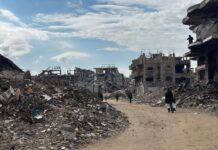 Investigadores de la ONU Esperan Acceso a Gaza en la Nueva Etapa del Plan de Paz Investigadores de la ONU esperan poder entrar en Gaza en la nueva etapa del plan de paz