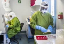 La OMS Califica de Bajo el Riesgo de Expansión del Brote de Virus Nipah en India La OMS considera “bajo” el riesgo de expansión del brote de virus Nipah en India