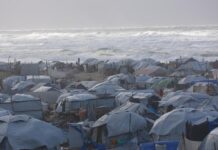 La ONU Expande Su Ayuda Humanitaria en Gaza tras 100 Días de Alto el Fuego, Aunque la Situación Sigue Siendo Crítica La ONU amplía su respuesta humanitaria en Gaza tras 100 días de alto el fuego, pero la situación es frágil