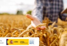 Las Tres Competencias Clave para el Sector Agrario en 2026 Top 3 competencias clave que adquirir en 2026 para el sector agrario