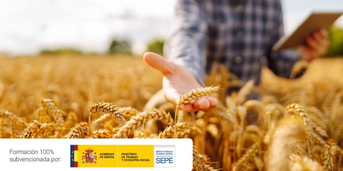 Las Tres Competencias Clave para el Sector Agrario en 2026 Top 3 competencias clave que adquirir en 2026 para el sector agrario