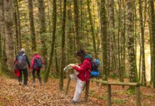 Navarra Impulsa el Turismo Regenerativo: Una Iniciativa Pionera en España Navarra apuesta por el turismo regenerativo, una iniciativa pionera en España