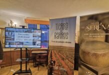 Nuevas Experiencias Turísticas de Tierra de Barros y La Serena en el Hogar Extremeño de Madrid Tierra de Barros y La Serena presentan nuevas experiencias turísticas en el Hogar Extremeño de Madrid