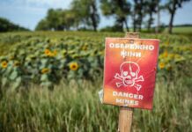 Plan Trienal de la ONU para Salvaguardar el Granero de Ucrania La ONU pone en marcha un plan trienal para proteger el granero de Ucrania