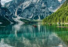 Protegiendo la Naturaleza: Incendios en Chile y la Situación en Gaza – Noticias del Jueves Protección de la naturaleza, incendios en Chile, Gaza… Las noticias del jueves