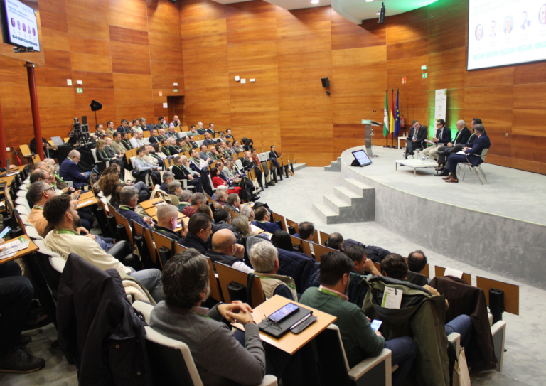 Sevilla analiza su futuro energético en la I Jornada de la Energía