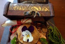 Almazán Revive la Edad Media a Través de sus Tapas Almazán vuelve a la Edad Media a través de sus tapas