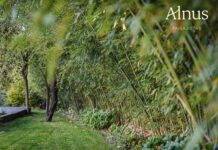 Alnus Paisajistas: Consolidación de un Estudio de Paisajismo Sostenible en Madrid Alnus Paisajistas consolida su trayectoria como estudio de paisajismo sostenible en Madrid
