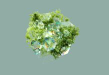 Atos Consolida Su Liderazgo Europeo En Sostenibilidad Digital Atos refuerza su posición como líder europeo en sostenibilidad digital