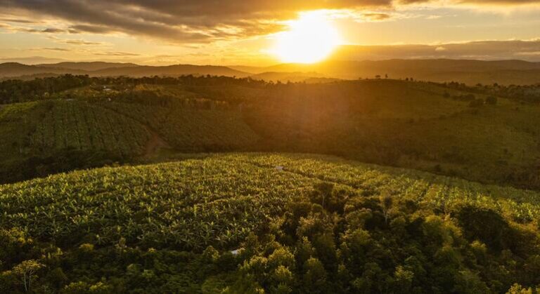 Bienvenidos al agrovecindario, ¿un modelo urbano del futuro?