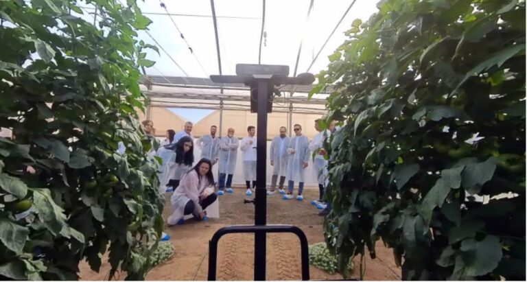 Cajamar Innova Agrotech lanza tres nuevos Retos Tecnológicos para impulsar la innovación en el sector agroalimentario