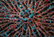 Cataluña 2026: La Cultura y el Deporte al Servicios del Mediterráneo Agencia Catalana de Turismo: Cataluña 2026, el año en que la cultura y el deporte conquistan el Mediterráneo