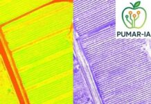 Digitalización del Ciclo Productivo de las Manzanas de Sidra: Un Proyecto Innovador con IA y Teledetección Un novedoso proyecto impulsa la digitalización del ciclo productivo de las manzanas de sidra asturiana y vasca mediante IA y tecnologías de teledetección