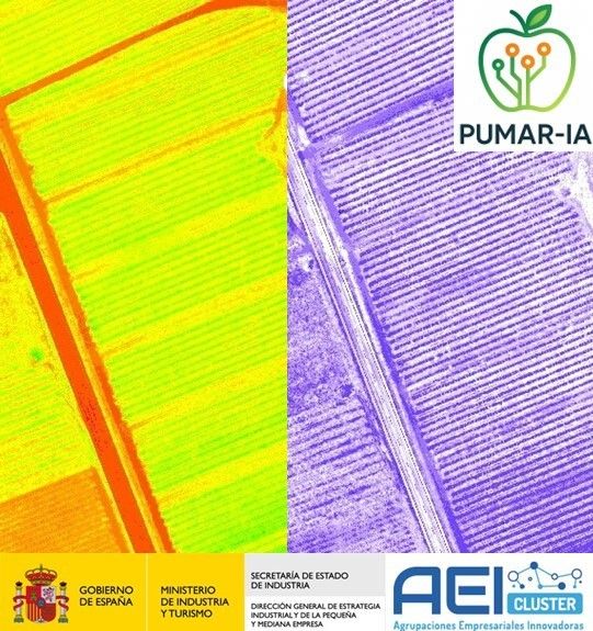 Digitalización del Ciclo Productivo de las Manzanas de Sidra: Un Un novedoso proyecto impulsa la digitalización del ciclo productivo de las manzanas de sidra asturiana y vasca mediante IA y tecnologías de teledetección