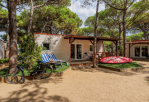 El Camping Bella Terra Renueva Su Reconocimiento con el Traveller Review Award 2026 de Booking.com El Camping Bella Terra revalida, un año más, el Traveller Review Award 2026 de Booking.com