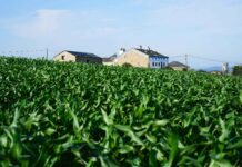 El Fondo de la Comunidad de Airbnb Contribuye con Más de 2 Millones de Dólares a 28 Organizaciones Sin Ánimo de Lucro en Europa El Fondo de la Comunidad de Airbnb dona más de 2 millones de dólares a 28 organizaciones sin ánimo de lucro en Europa