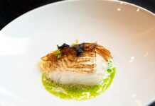 El Gran Viaje del Norte: Comienza la Esperada Temporada del Bacalao Skrei, la Joyas Nómada de Noruega El Gran Viaje del Norte: arranca la ansiada temporada del bacalao Skrei, la joya nómada de Noruega