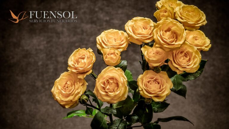 Fuensol conmemora dos décadas de trayectoria en el sector funerario con el lanzamiento de nuevos planes de planificación anticipada y renovación digital