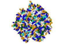 Iniciativa Científica Andaluza: Hacia la Internacionalización Iniciativa científica andaluza se internacionaliza