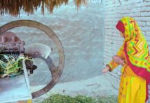 Inversiones en IA: El Sur Global Impulsa el Bienestar de su Población El Sur Global también está invirtiendo en la IA para mejorar la vida de su gente