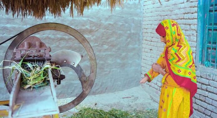 Inversiones en IA: El Sur Global Impulsa el Bienestar de El Sur Global también está invirtiendo en la IA para mejorar la vida de su gente