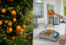 Mak Food Company Fortalece su Control en Origen y Sella Acuerdos Clave con el Sector Agrícola Mak Food Company refuerza su control en origen y consolida acuerdos estratégicos con el campo