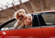 Mapfre Presenta ReDrive: Un Innovador Servicio para la Compraventa de Vehículos entre Particulares Mapfre lanza ReDrive, un nuevo servicio para operaciones de compraventa de vehículos entre particulares