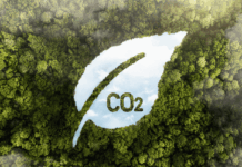 Nuevo Requisito para Grandes Empresas: Cálculo de la Huella de Carbono Nueva obligación para grandes empresas: el cálculo de la huella de carbono