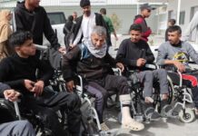 Paso de Rafah y el Futuro de la OMS: Noticias Destacadas del Lunes Paso de Rafah, Líbano, futuro de la OMS… Las noticias del lunes