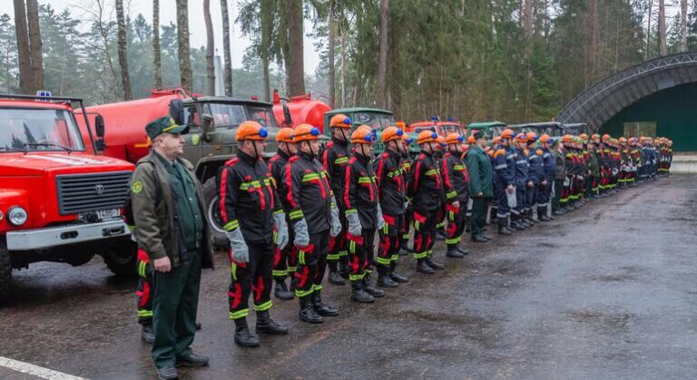 Los bosques son más que un recurso: cómo Bielorrusia protege este ecosistema vital