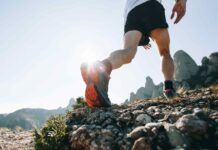 Cultura y Deporte: Claves para el Desarrollo Personal y la Cohesión Social de Diego Fittipaldi Diego Fittipaldi subraya la cultura y el deporte como espacios clave para el desarrollo personal y la cohesión social