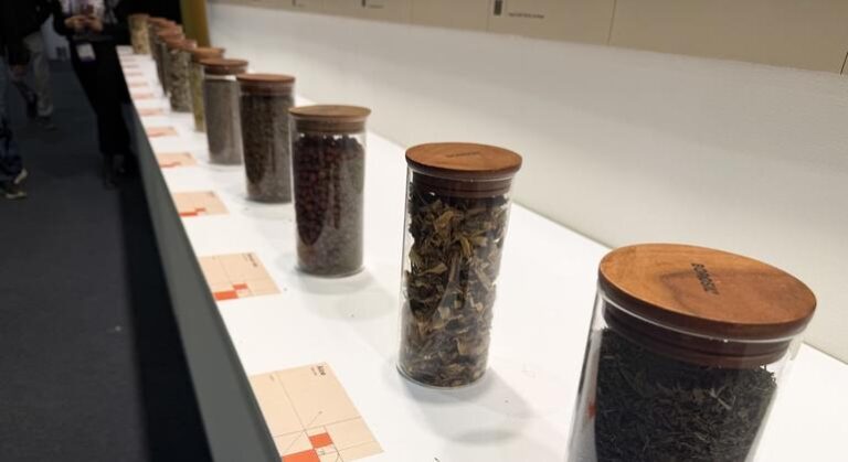 Por qué las plantas medicinales importan en el Día Mundial de la Vida Silvestre