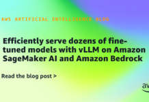 Optimización en la Gestión de Modelos Refinados con vLLM en Amazon SageMaker AI y Amazon Bedrock Efficiently serve dozens of fine-tuned models with vLLM on Amazon SageMaker AI and Amazon Bedrock