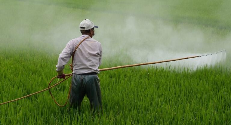 Zonas de Sacrificio: Un Llamado a la Justicia Ambiental en México