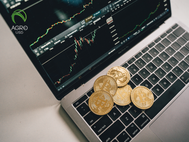 AgroUSD: Ampliando el Acceso Financiero en Entornos Productivos Sin Banca Tradicional