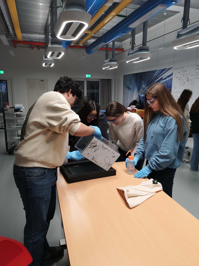 Estudiantes de Gredos San Diego se Capacitan en el CERN, el Mayor Laboratorio de Física de Partículas del Mundo