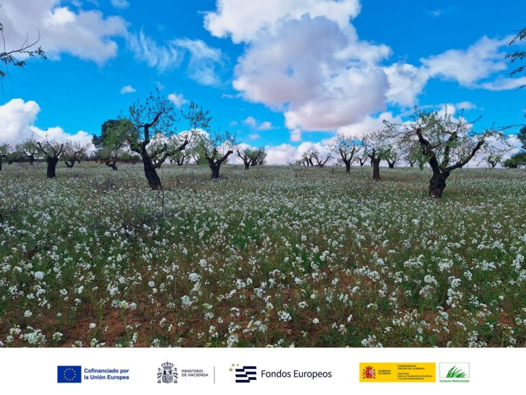 Impulso a la Bioeconomía y Servicios Ecosistémicos en Castilla-La Mancha a través del Proyecto ESIL