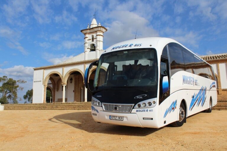 Moguerbus: Consolidación como Líder en Transporte de Pasajeros y Eventos en Huelva
