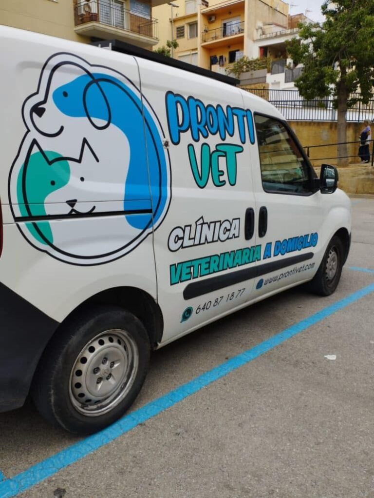 Prontivet Lanza Servicio de Ambulancia Veterinaria 24 Horas en Barcelona y Girona