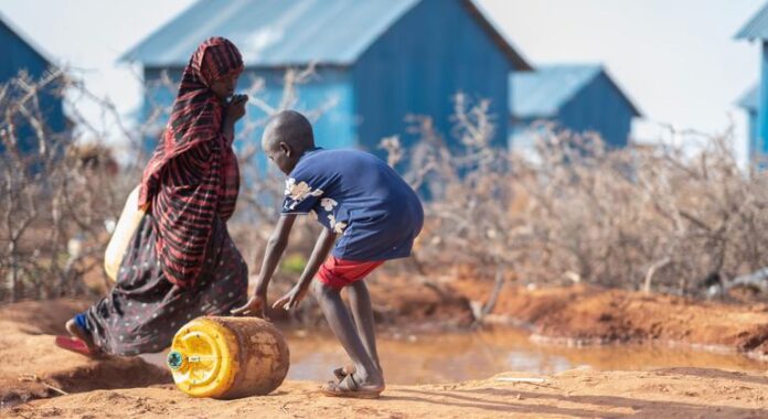 Seis Millones de Personas Enfrentan un Riesgo Real de Hambruna Seis millones de personas afronta un «riesgo real de hambruna» en Somalia
