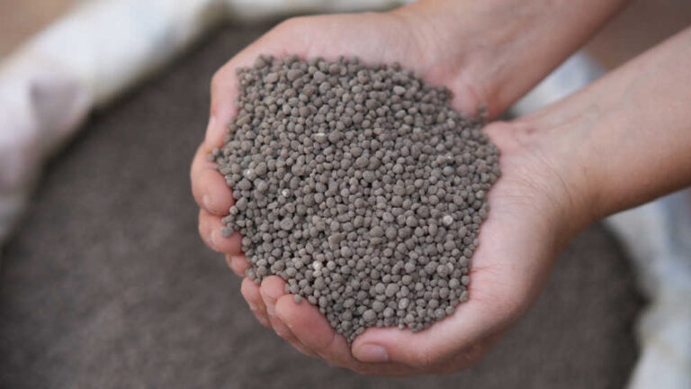 Aumento del 6% en el Uso de Fertilizantes Minerales en 2024