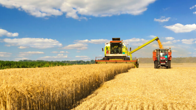 Disminución de Precios Agrícolas en el Primer Trimestre de 2026