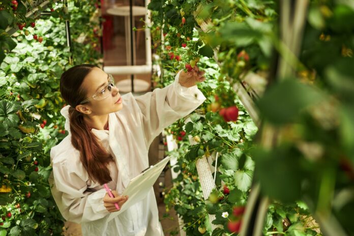 Eatable Adventures Lanza Raíces para Reducir la Brecha de Inversión Eatable Adventures lanza Raíces para cerrar la brecha de inversión en startups hispanohablantes