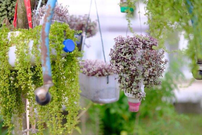 Macetas Colgantes con Botellas de Agua: Ideas DIY Cómo hacer una maceta colgante con botella de agua ideas DIY