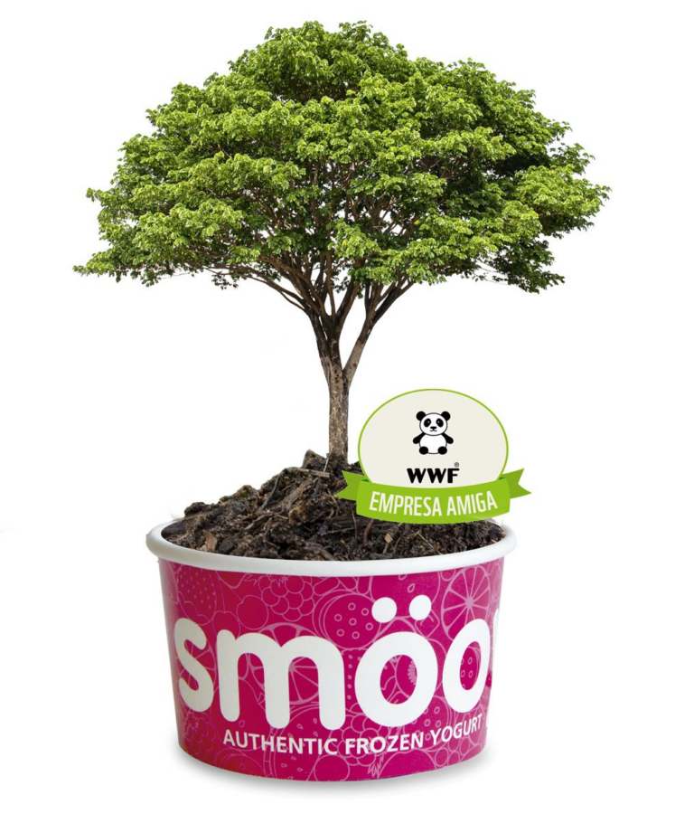 Smöoy Potencia su Compromiso Ecológico con las IV Jornadas Medioambientales en Septiembre